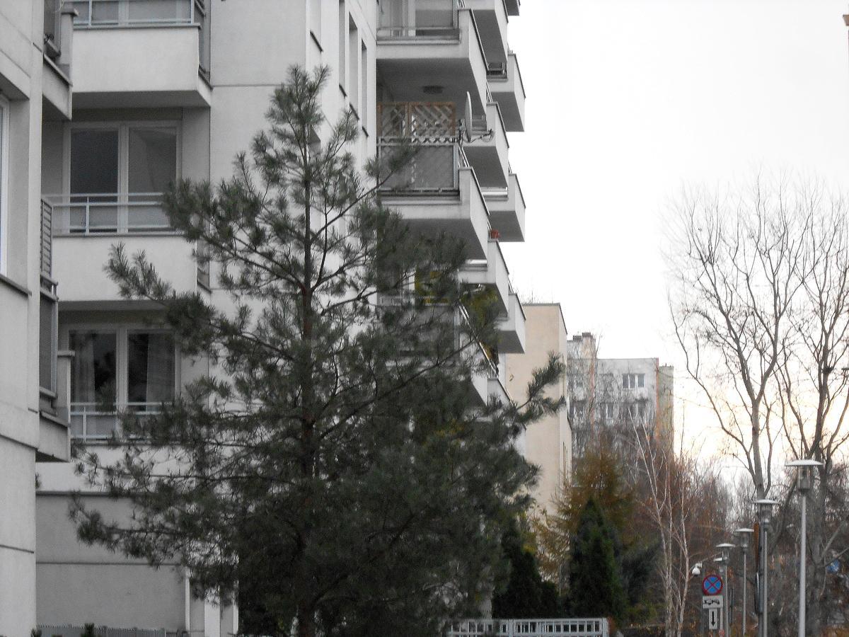 M&R Apartament Marina Mokotow 华沙 外观 照片